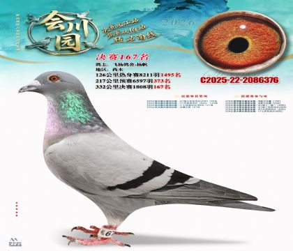 �ᴨ԰����167��