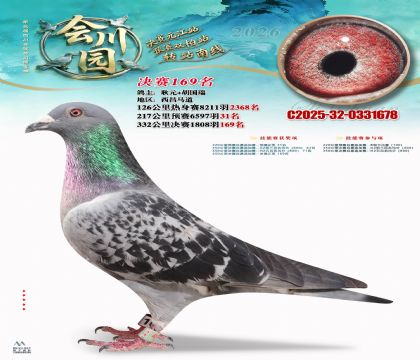 �ᴨ԰����169��