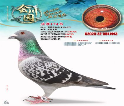 �ᴨ԰����174��