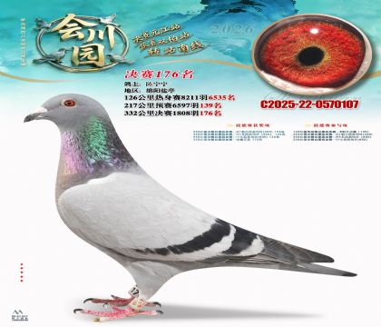 �ᴨ԰����176��