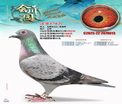 �ᴨ԰����178��