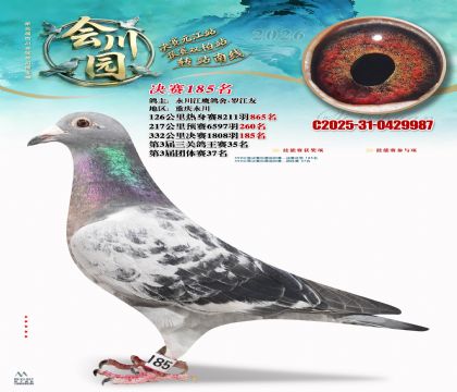 �ᴨ԰����185��