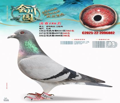 �ᴨ԰����186��