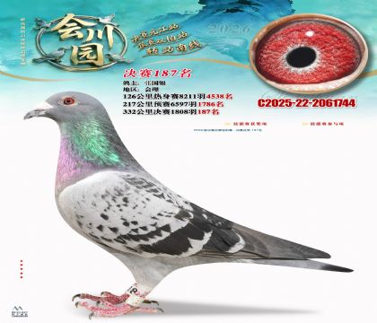 �ᴨ԰����187��