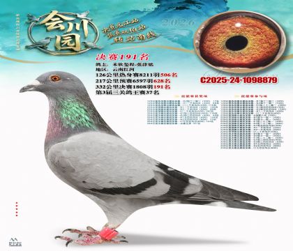 �ᴨ԰����191��