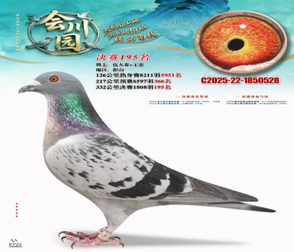 �ᴨ԰����195��