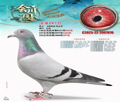 �ᴨ԰����197��