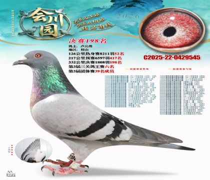 �ᴨ԰����198��