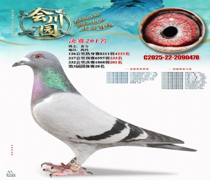 �ᴨ԰����201��