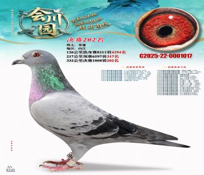 �ᴨ԰����202��