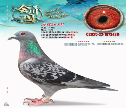 �ᴨ԰����203��