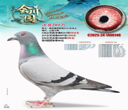 �ᴨ԰����205��