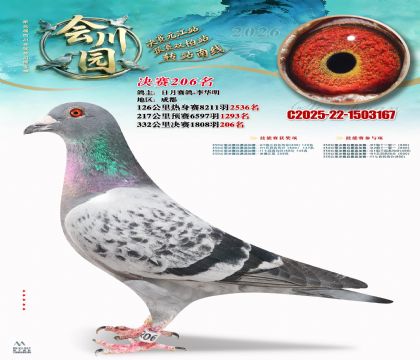 �ᴨ԰����206��