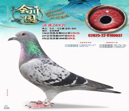 �ᴨ԰����209��