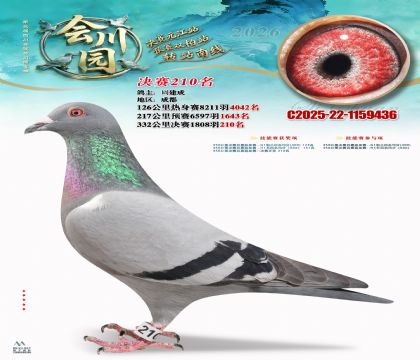 �ᴨ԰����210��