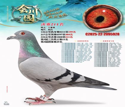 �ᴨ԰����211��