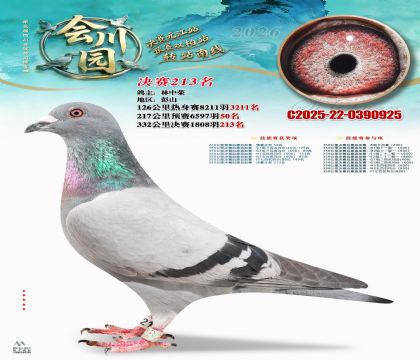 �ᴨ԰����213��