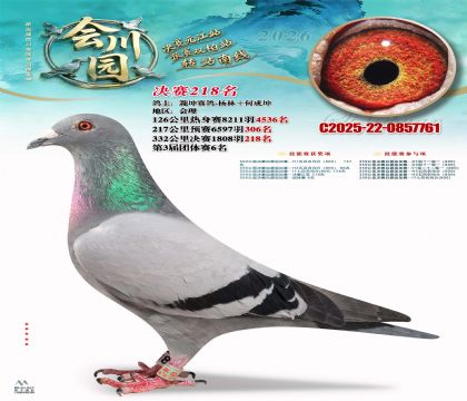 �ᴨ԰����218��