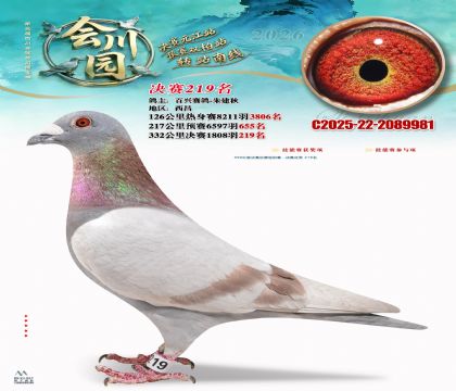 �ᴨ԰����219��