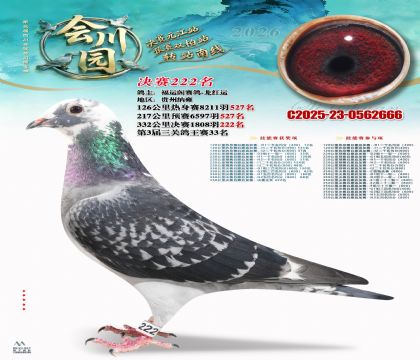 �ᴨ԰����222��