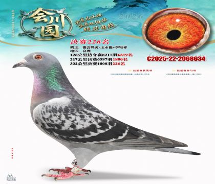 �ᴨ԰����226��