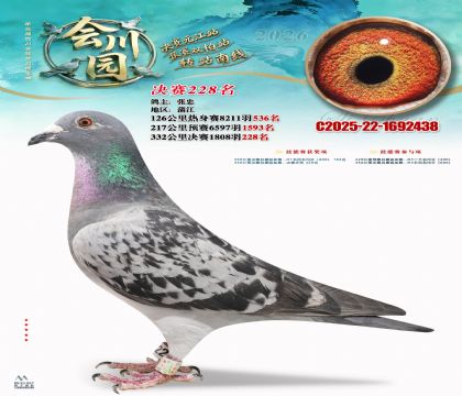 �ᴨ԰����228��