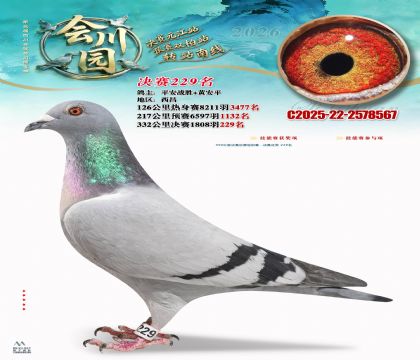 �ᴨ԰����229��