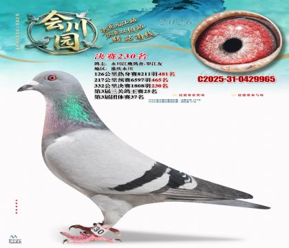 �ᴨ԰����230��