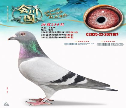 �ᴨ԰����235��