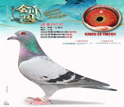 �ᴨ԰����237��