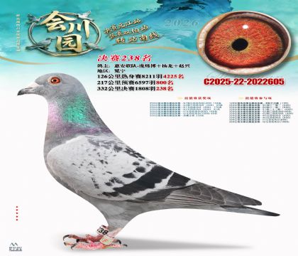 �ᴨ԰����238��