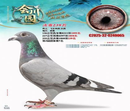 �ᴨ԰����239��