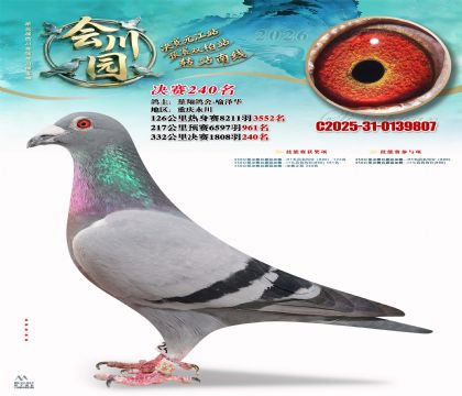 �ᴨ԰����240��