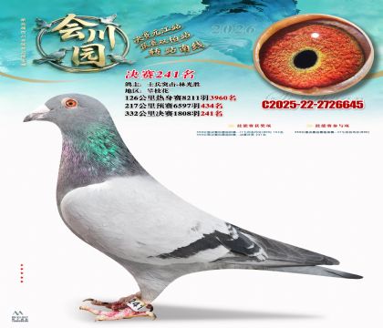 �ᴨ԰����241��