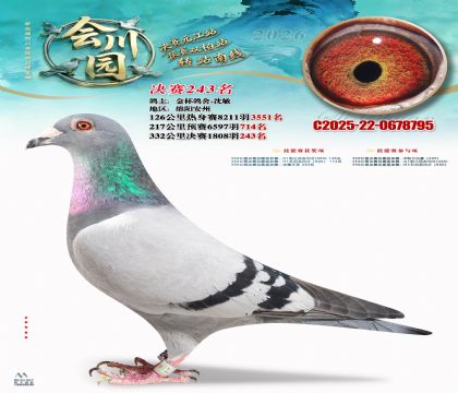 �ᴨ԰����243��