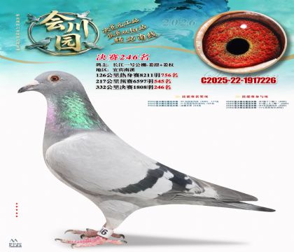 �ᴨ԰����246��