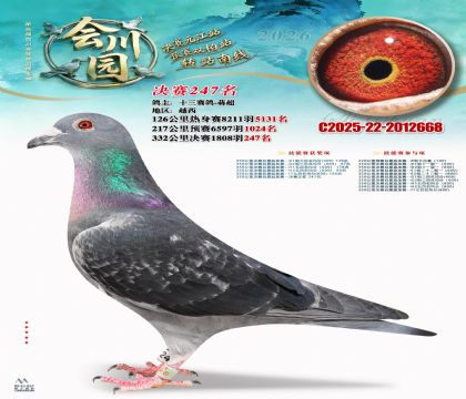 �ᴨ԰����247��