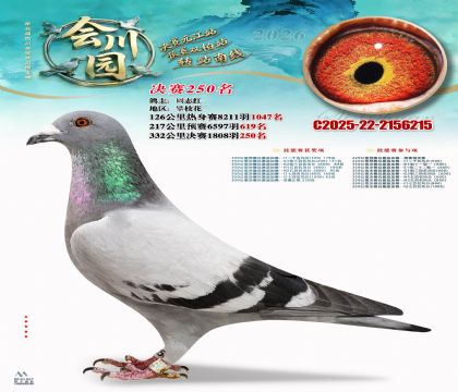 �ᴨ԰����250��