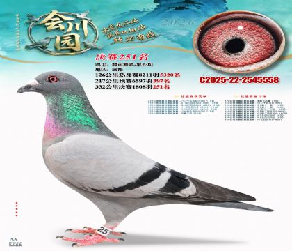 �ᴨ԰����251��