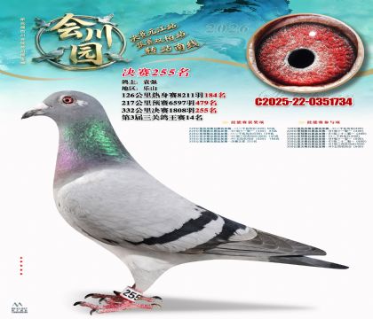 �ᴨ԰����255��