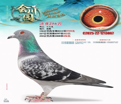 �ᴨ԰����256��