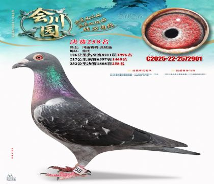 �ᴨ԰����258��