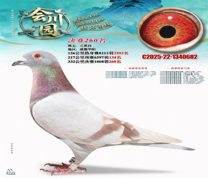 �ᴨ԰����260��