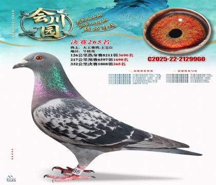 �ᴨ԰����265��