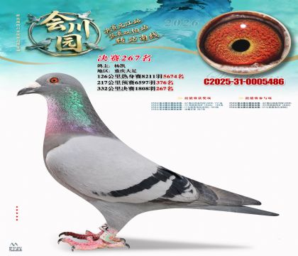 �ᴨ԰����267��