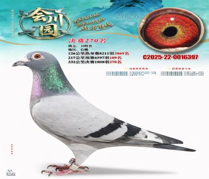 �ᴨ԰����270��