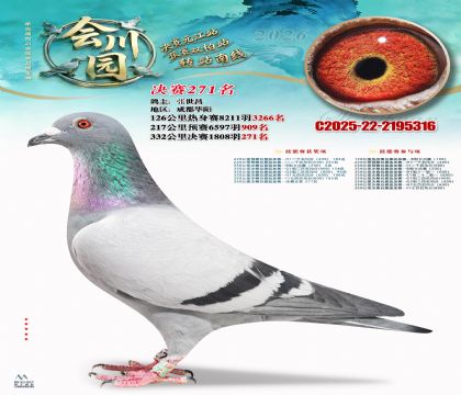 �ᴨ԰����271��