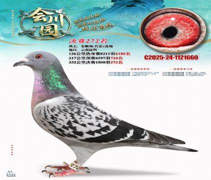 �ᴨ԰����272��