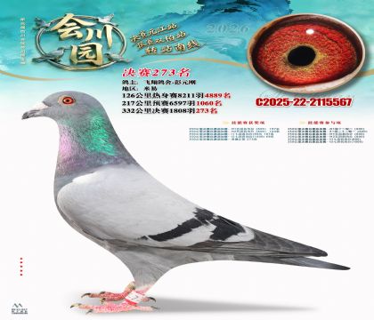 �ᴨ԰����273��