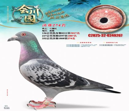 �ᴨ԰����274��